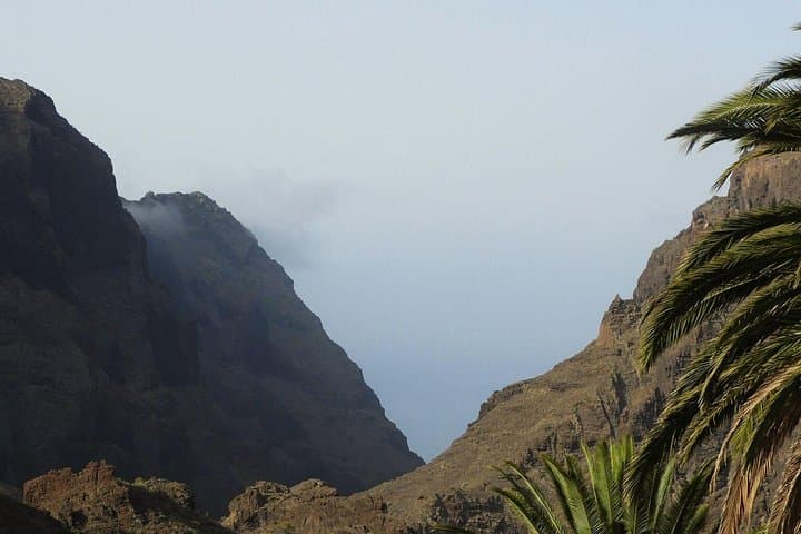 Masca Gastro Tour: Cultural and Culinary Journey Through Tenerife's Teno Massif photo 3