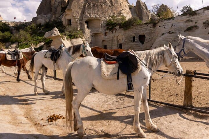 Cappadocia Horseback Riding: Sunrise, Daytime & Sunset Guide photo 6