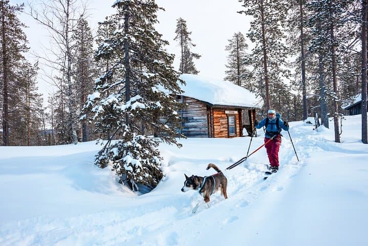 Train and Hike with Alaskan Huskies in Pallas–Ylläs National Park