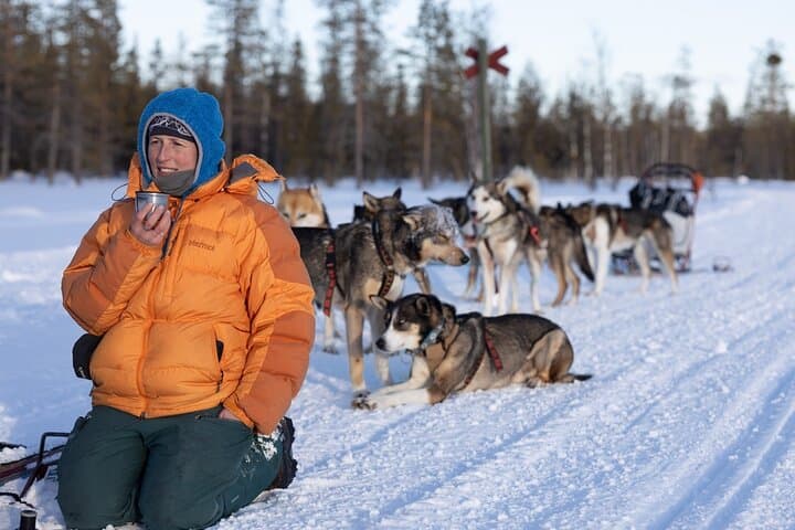 Train and Hike with Alaskan Huskies in Pallas–Ylläs National Park photo 4