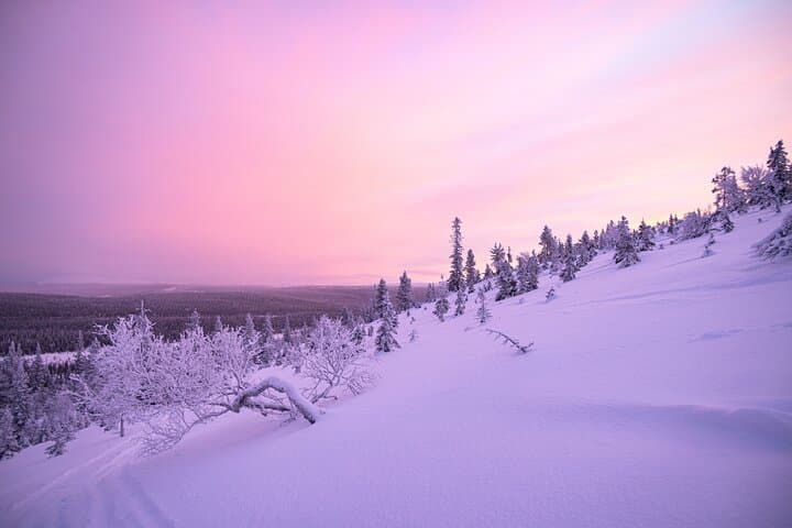Train and Hike with Alaskan Huskies in Pallas–Ylläs National Park photo 5