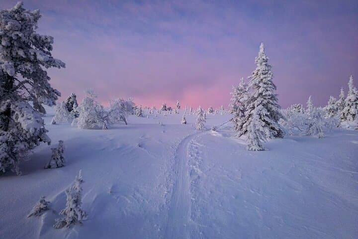 Train and Hike with Alaskan Huskies in Pallas–Ylläs National Park photo 6