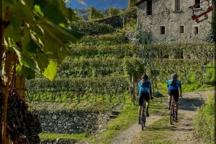 E-Bike Wine Tour: Sondrio's Terraced Vineyards to Castel Grumello