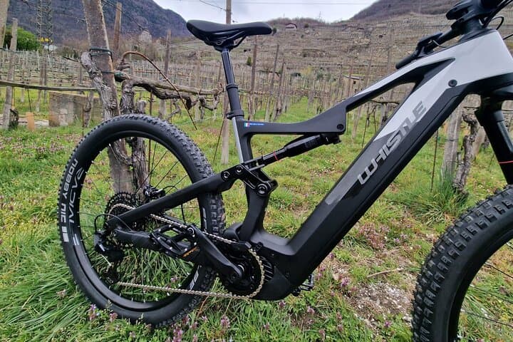 E-Bike Wine Tour: Sondrio's Terraced Vineyards to Castel Grumello photo 2
