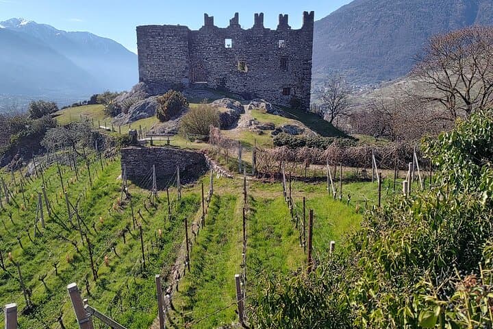 E-Bike Wine Tour: Sondrio's Terraced Vineyards to Castel Grumello photo 4