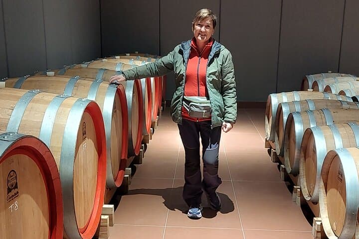 E-Bike Wine Tour: Sondrio's Terraced Vineyards to Castel Grumello photo 6