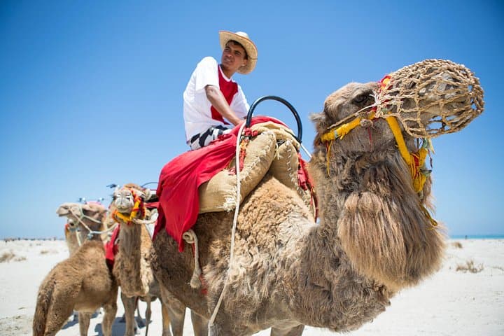 Desert Star-Gazing Safari: ATV, Camel Trek & Bedouin Dinner in Sharm El Sheikh photo 3