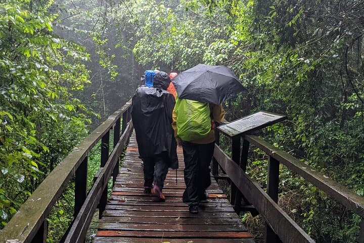 Kilimanjaro Day Hike: Marangu Route to Mandara Hut photo 2