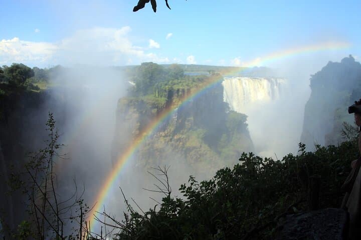 Livingstone Island Exclusive Tour: Devil’s Pool, High Tea & Victoria Falls Views photo 6