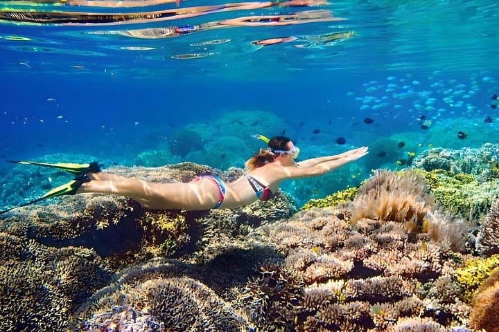 Bahamas VIP Island Hopping: Swim with Pigs & Private Snorkel Tour photo 3