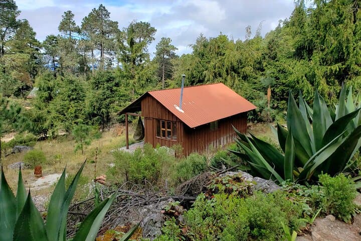 Sierra Norte Hiking to Cuajimoloyas: Full-Day Indigenous Village Trek from Oaxaca photo 6
