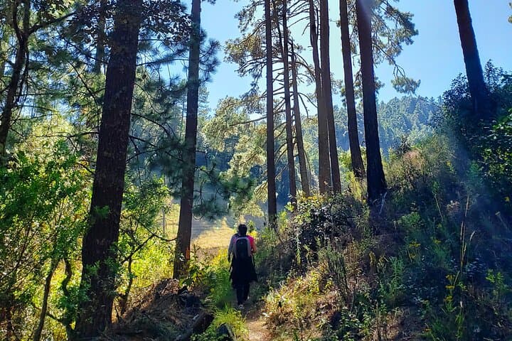 Sierra Norte Hiking to Cuajimoloyas: Full-Day Indigenous Village Trek from Oaxaca photo 3