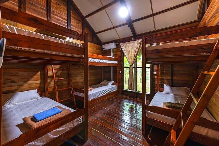 Sandakan 2D/1N: Sepilok Orangutan, Sun Bear & Kinabatangan River Cruise photo 3