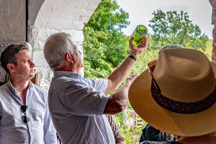 Wellhayes Vineyard Tour — Sparkling Wine, Handmade Chocolates & Devon Cream Tea photo 2