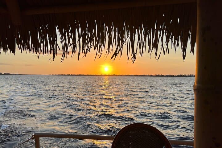 Private 2-Hour Tiki Cruise from Fort Myers Beach: Mangroves, Dolphins & Sunset Vibes photo 3