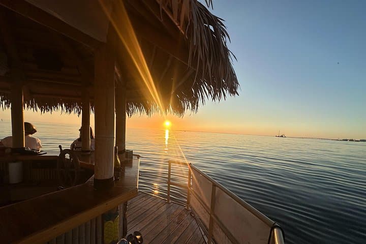 Private 2-Hour Tiki Cruise from Fort Myers Beach: Mangroves, Dolphins & Sunset Vibes photo 4