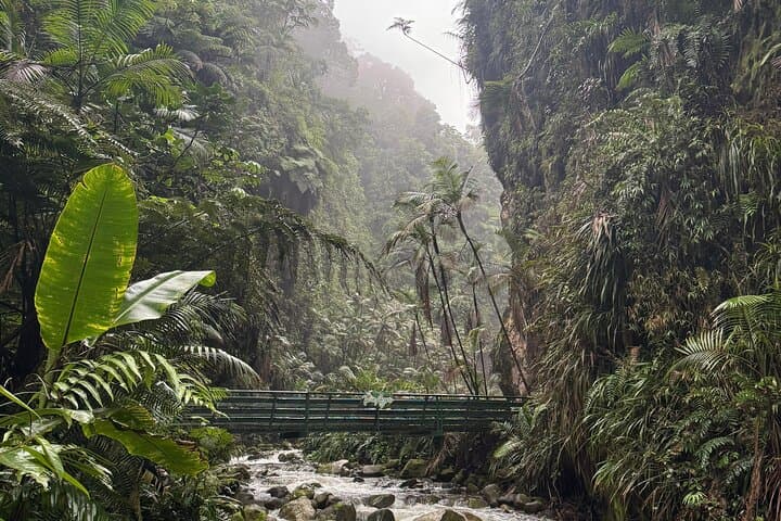 Private Full-Day Jurassic Adventure: Dinoland, Río Agrio Waterfall & Central America’s Largest Dry Slide