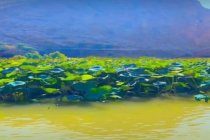Wadi Shab Hike and Bimmah Sinkhole: Private Day Adventure from Muscat photo 2