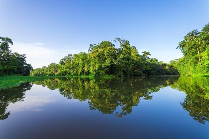 Paddle the Hidden Canals: Kayak Tour in Tortuguero National Park photo 3