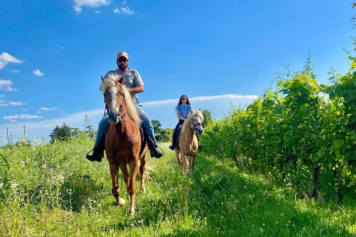 Two-Hour Horseback Ride Through the Lake Garda Countryside