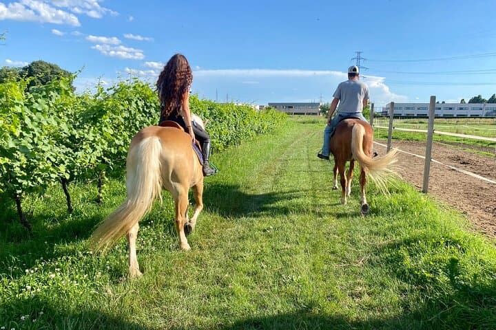 Two-Hour Horseback Ride Through the Lake Garda Countryside photo 2