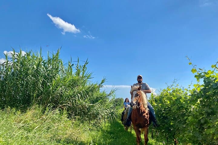 Two-Hour Horseback Ride Through the Lake Garda Countryside photo 4