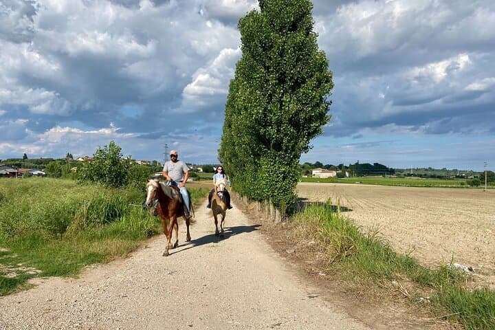 Two-Hour Horseback Ride Through the Lake Garda Countryside photo 5