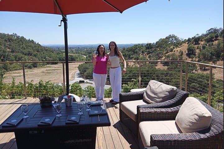 Private Chauffeured Napa Winery Tour: Personalized Six-Hour Wine Country Experience