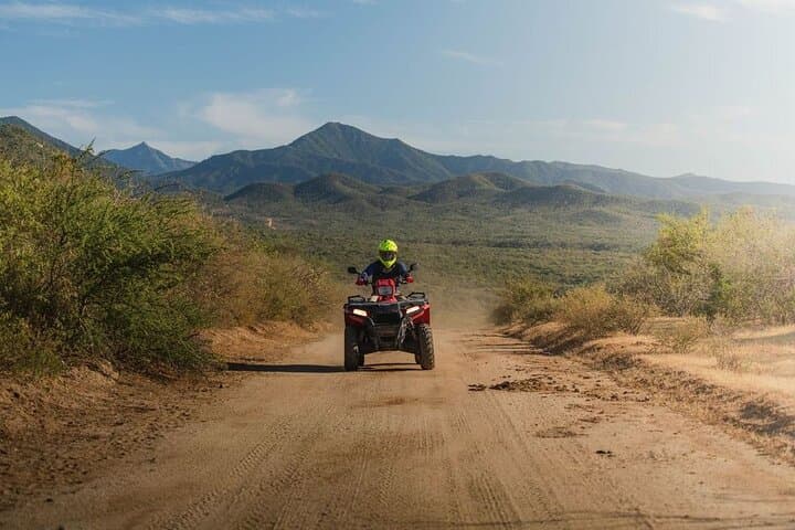 Camel Coast and UTV Rush: A Half-Day Baja Adventure from Cabo photo 3