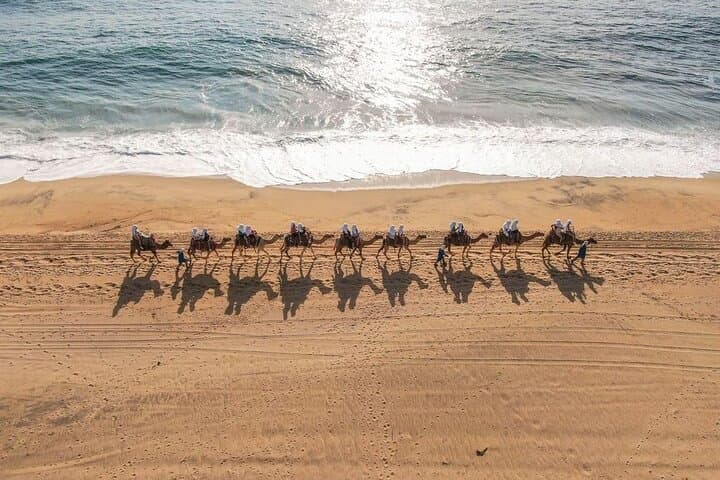 Camel Coast and UTV Rush: A Half-Day Baja Adventure from Cabo photo 4
