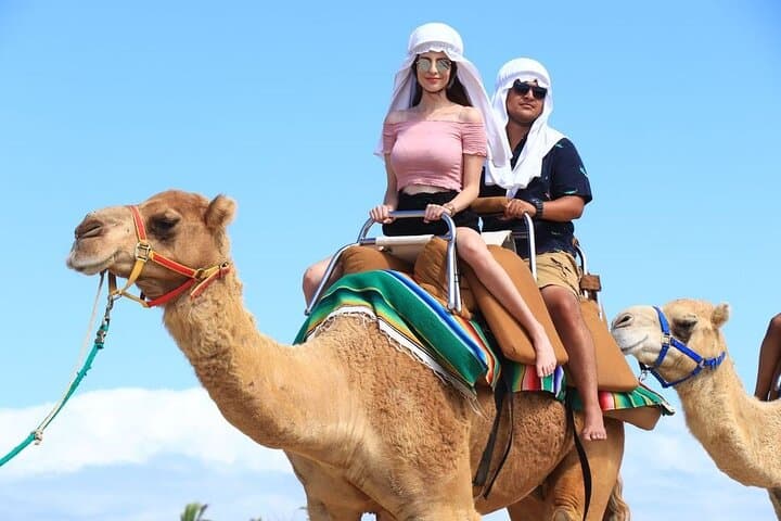 Camel Coast and UTV Rush: A Half-Day Baja Adventure from Cabo photo 6