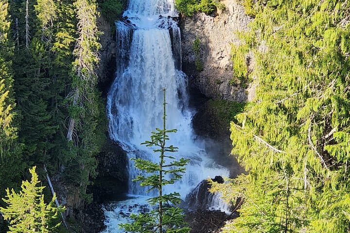 Sea-to-Sky Private Day Trip: Vancouver to Whistler via Porteau Cove & Shannon Falls photo 4
