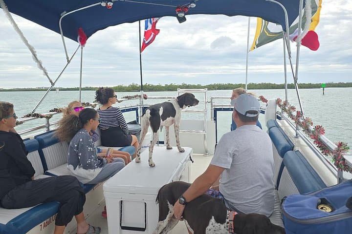 2-Hour Ten Thousand Islands Wildlife Adventure from Naples — Dolphins, Ospreys & Mangroves photo 1