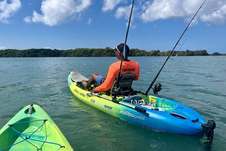 Sunset Kayak Fishing in Aruba: Solo Kayak Angling & Evening Marine Tour photo 5