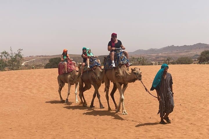 Camel and Horseback Ride Through Agadir's Dunes and Eucalyptus Forest