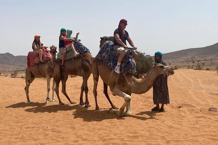 Camel and Horseback Ride Through Agadir's Dunes and Eucalyptus Forest photo 3