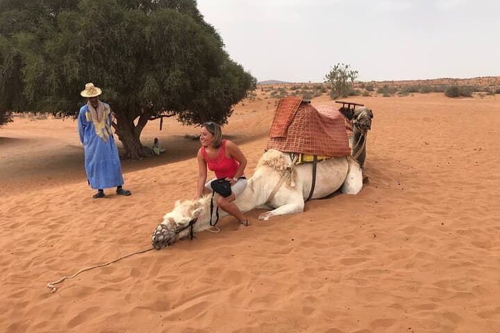 Camel and Horseback Ride Through Agadir's Dunes and Eucalyptus Forest photo 5