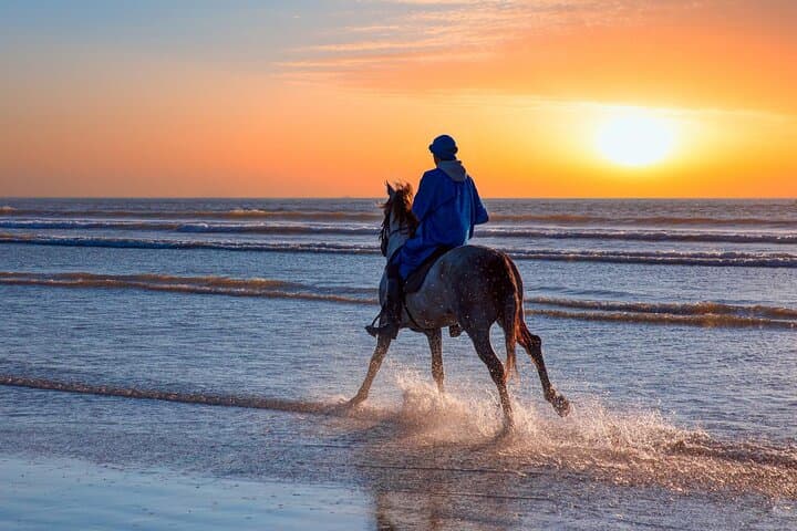 Camel and Horseback Ride Through Agadir's Dunes and Eucalyptus Forest photo 2