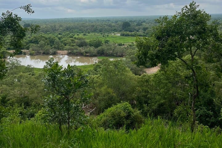 3-Day Mole National Park Safari: Elephants, Walking Safaris & Cultural Visits photo 6