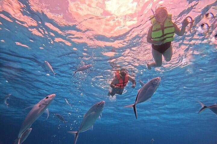 Cozumel Private Boat Tour to Palancar, El Cielo & El Cielito — Snorkel with Starfish and Stingrays photo 5
