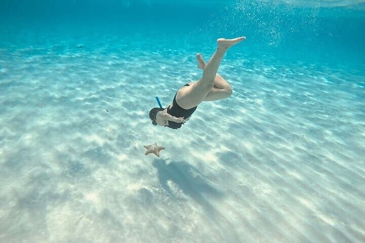 Cozumel Private Boat Tour to Palancar, El Cielo & El Cielito — Snorkel with Starfish and Stingrays photo 6
