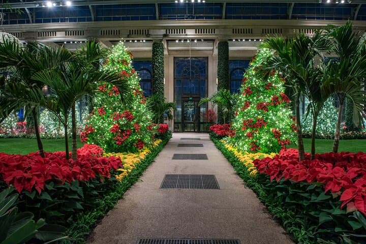 Evening at Longwood Gardens Holiday Lights — Guided Tour from Philadelphia photo 1