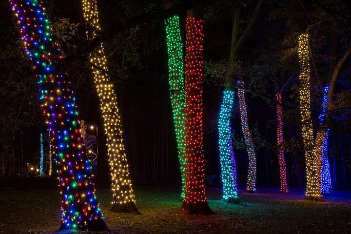 Evening at Longwood Gardens Holiday Lights — Guided Tour from Philadelphia photo 2