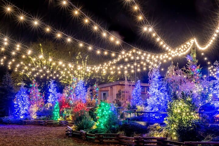 Evening at Longwood Gardens Holiday Lights — Guided Tour from Philadelphia photo 3
