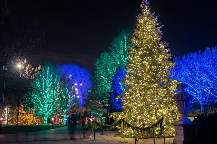Evening at Longwood Gardens Holiday Lights — Guided Tour from Philadelphia photo 4