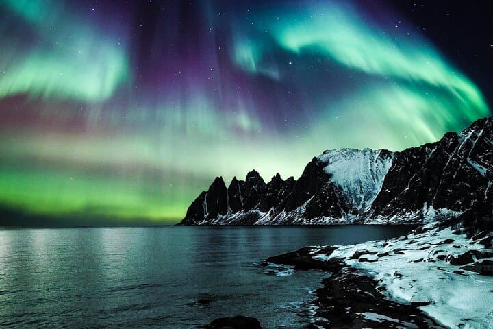 Chasing the Northern Lights from Tromsø: Small-Group Aurora Hunt with Photos & Snacks photo 4