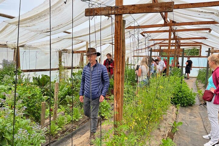 Farm, Forest and Hot Tubs: A Day on a Chilean Permaculture Farm Near Santiago