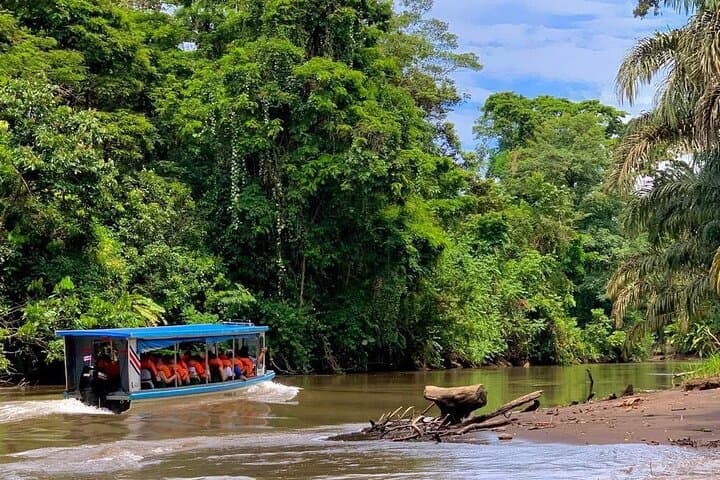 Private Tortuguero Canoe & Jungle Tour from San José — Quiet Canals, Wildlife and Cerro Views