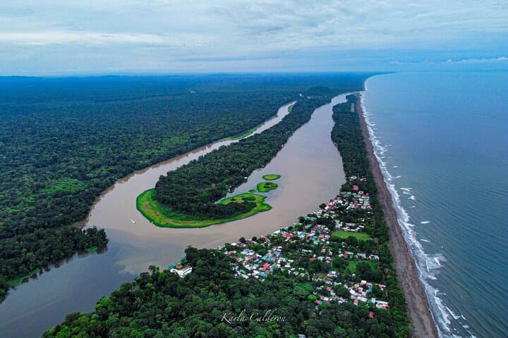 Private Tortuguero Canoe & Jungle Tour from San José — Quiet Canals, Wildlife and Cerro Views photo 2
