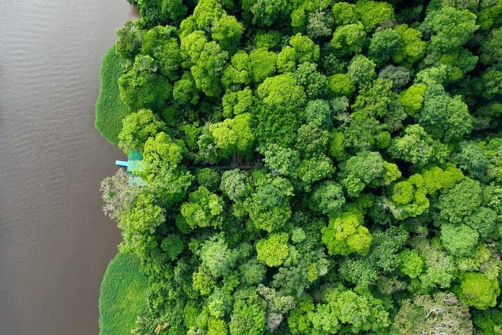 Private Tortuguero Canoe & Jungle Tour from San José — Quiet Canals, Wildlife and Cerro Views photo 4